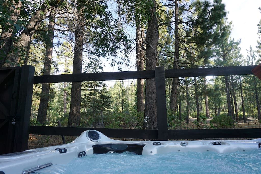 view from spa on back deck to the National Forest