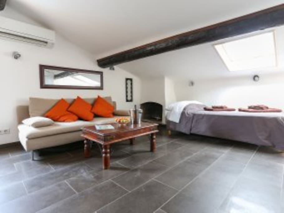 A bed and a single sofa bed