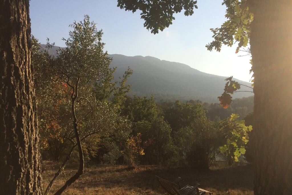 Face à la Montagne Sainte-Victoire