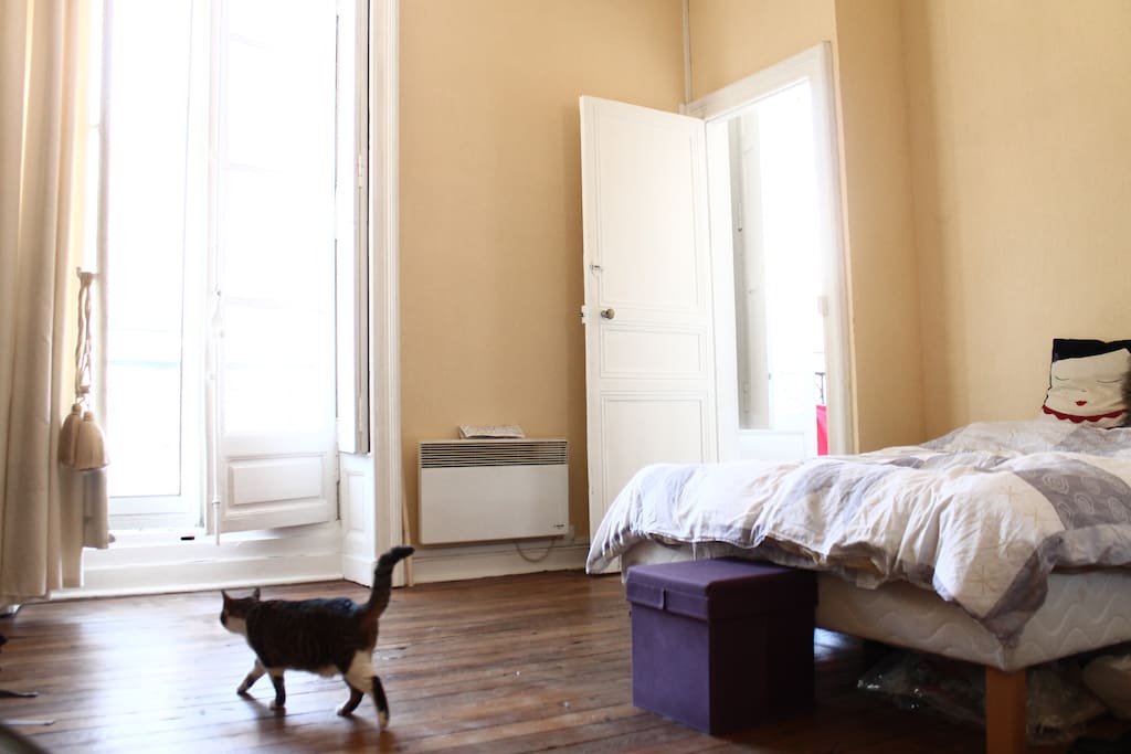 Pièce de vie / Chambre