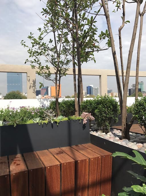 El espacio de la terraza es ideal para leer, comer algo, descansar y compartir.