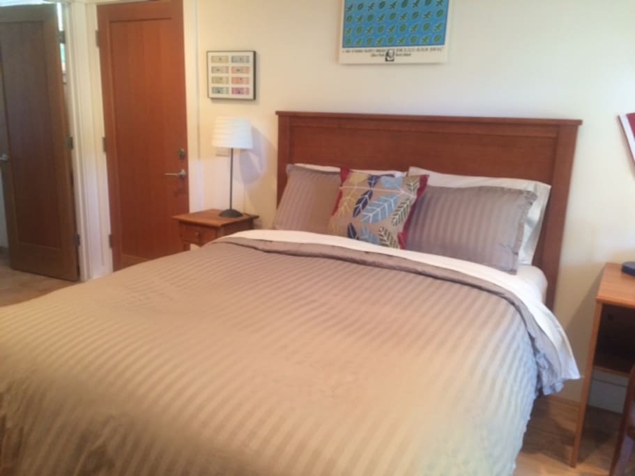 New Simmons Beautyrest 850 P hotel quality queen mattress. Hardwood (oak) floor.