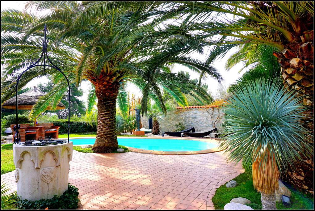 Beautiful pool with garden