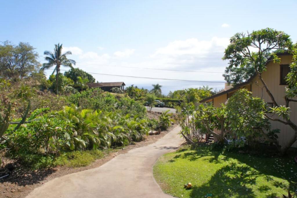 Ocean view