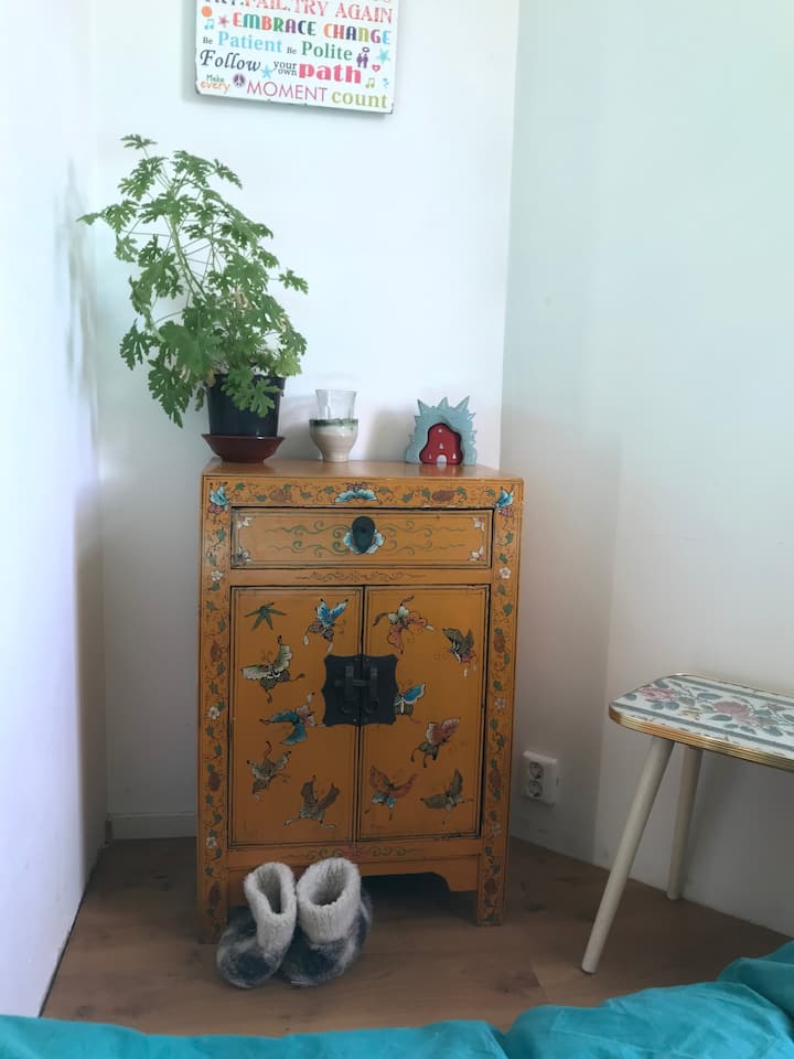 Casa Vrolik, Amsterdam, Oosterparkbuurt BnB 2pp.