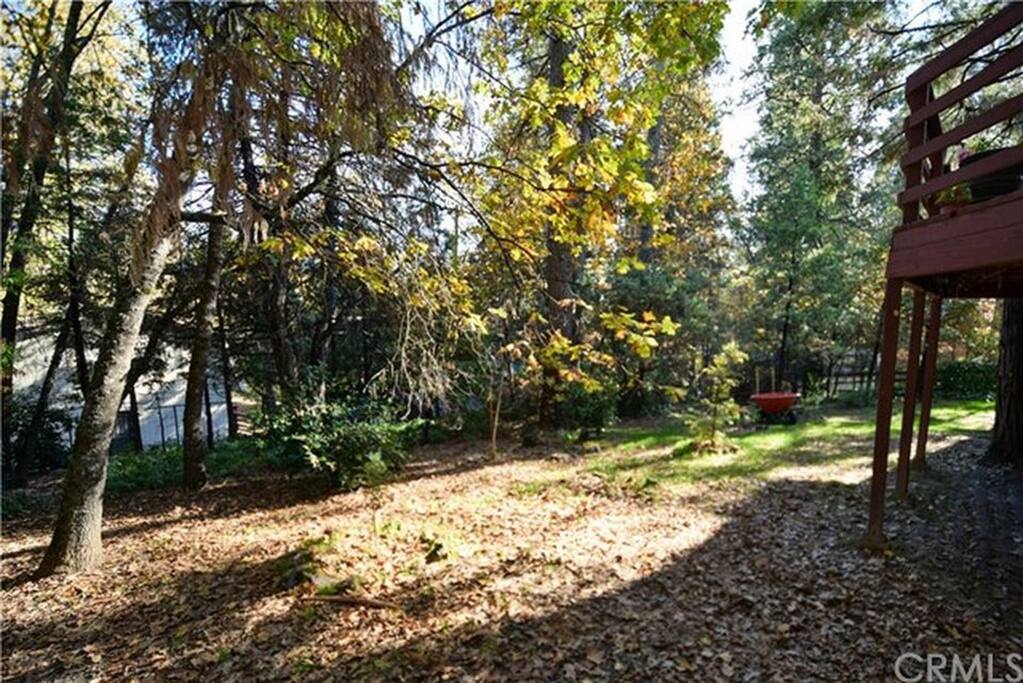 Fenced Back Yard