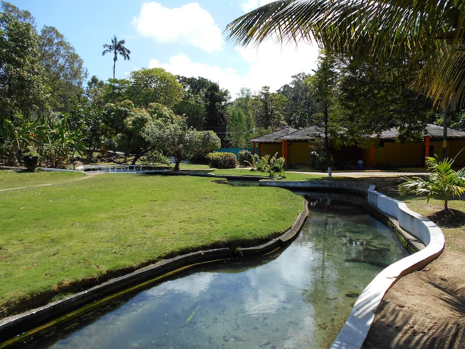Exotic Garden