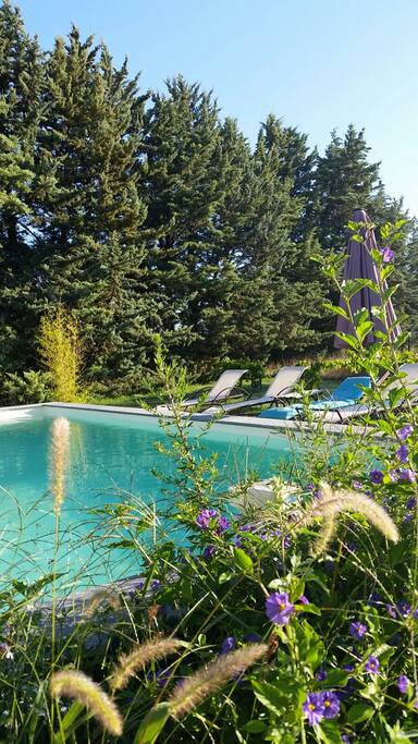 Piscine privée