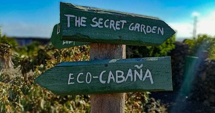 Imagen 12 del anuncio