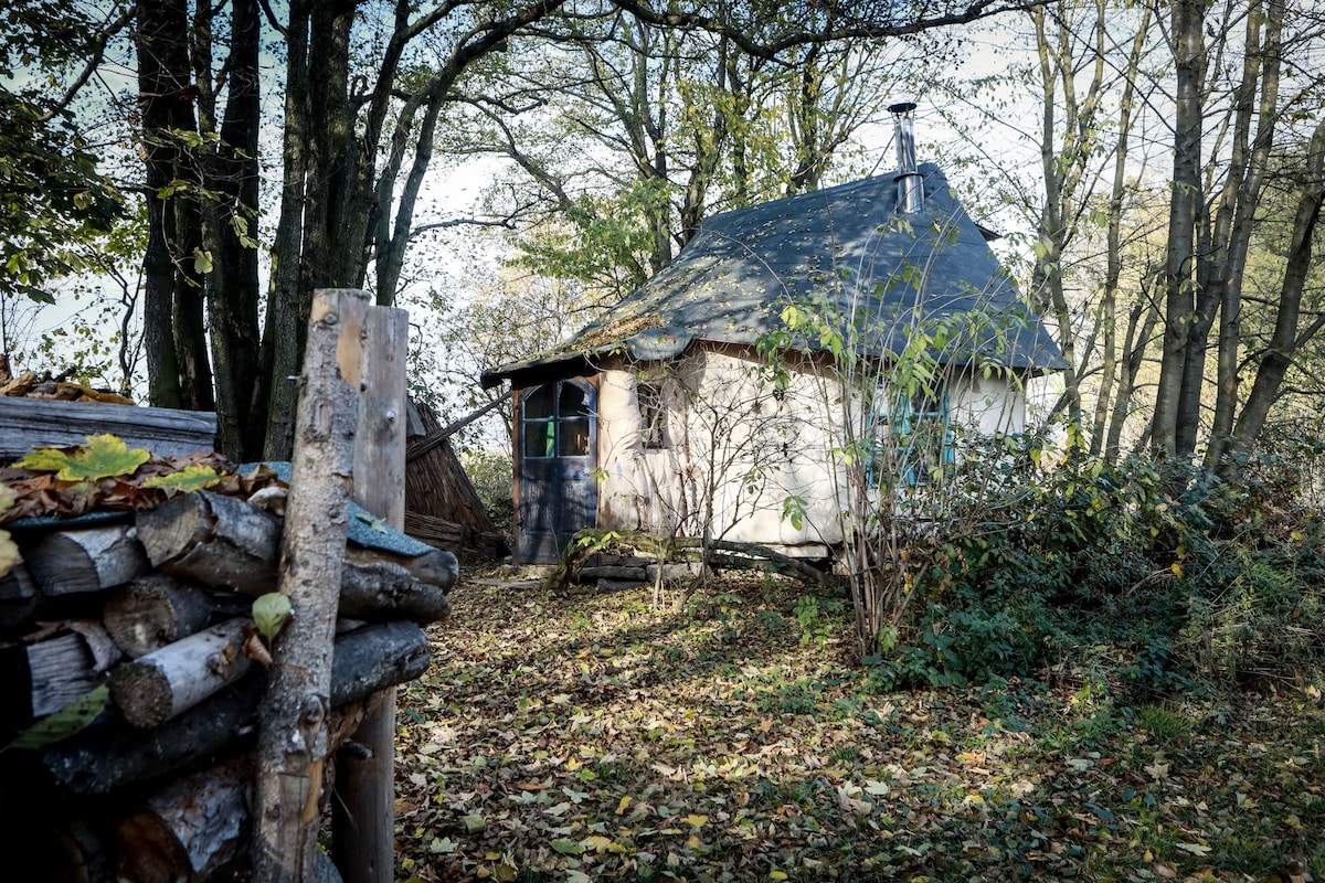 Horní Paseka Vacation Rentals & Homes - Vysočina Region, Czechia | Airbnb
