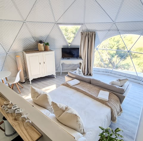 The Oasis Dome