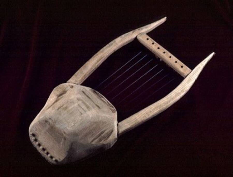 Chelys Lyre