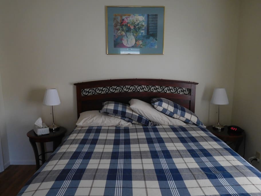 Cozy queen size bed, two night stands, two sitting chairs, TV, walk-in closet, dresser.