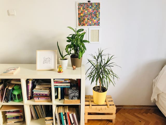 ''feel like home'' Central Flat