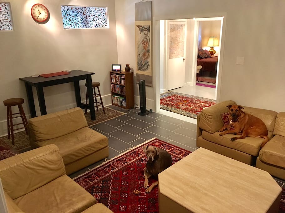 Living room (dog friendly, of course!)