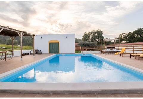 Whole house with swimming pool in nature