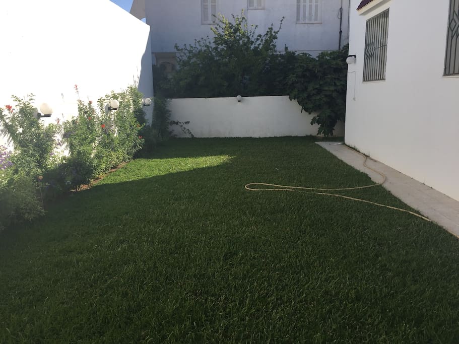 Jardin avec gazon