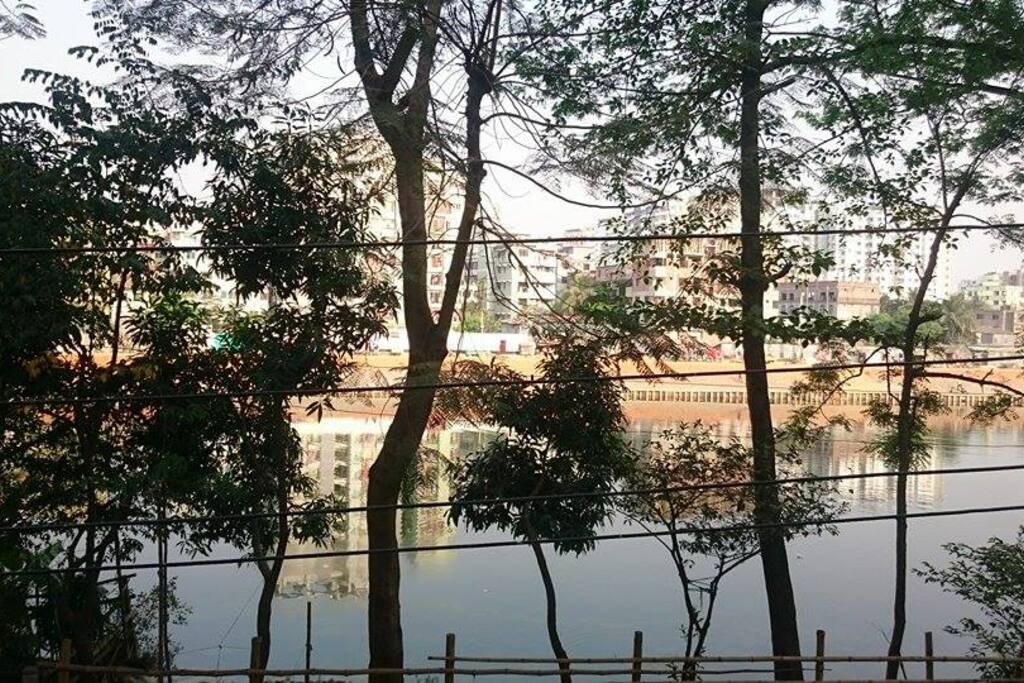 View from living room& balcony