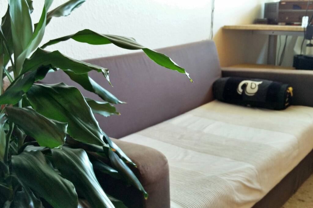 couch.
