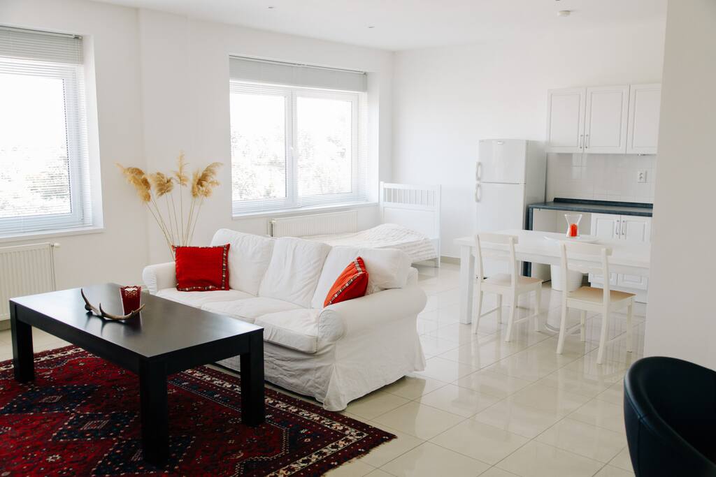 Living room / Kitchen / Dining Room
