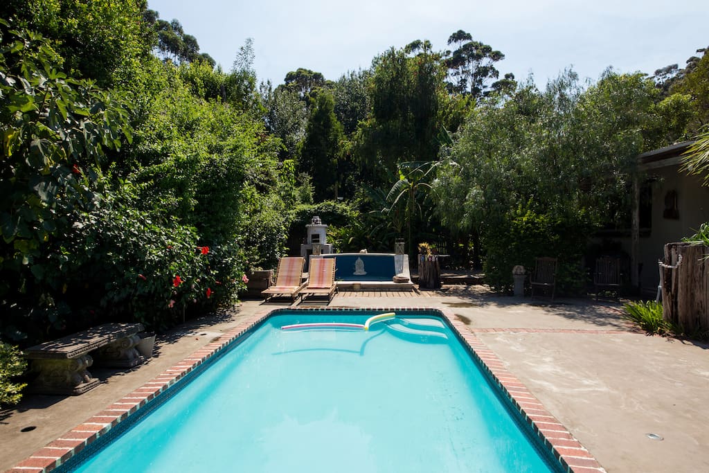 large pool shared