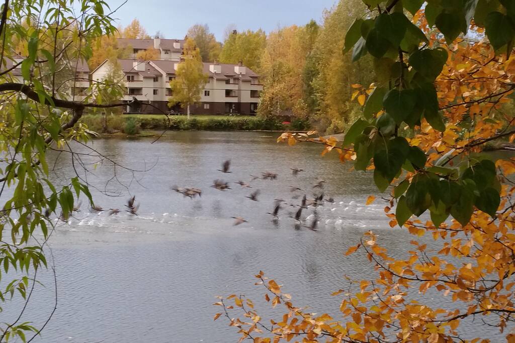 Fall view on the Deck