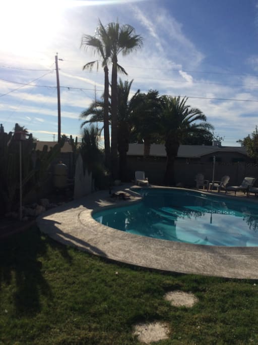 Backyard Pool