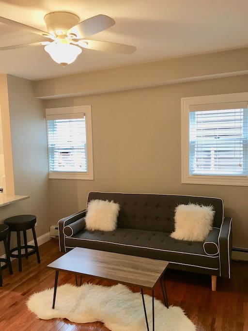The sleeper sofa (back folds down to double sized bed).