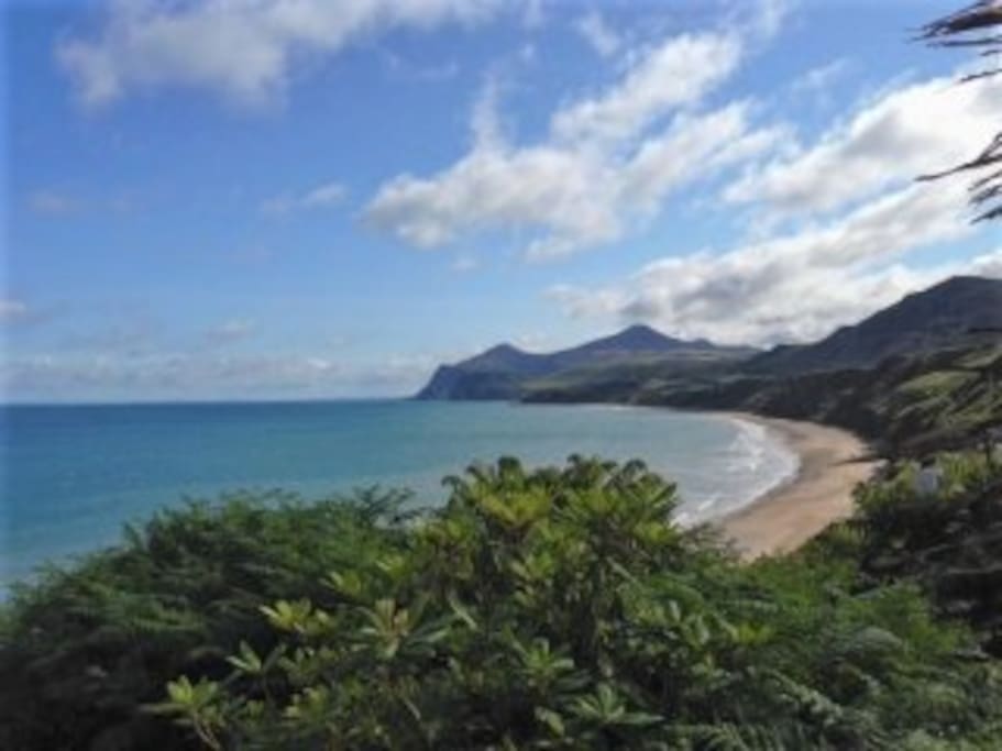 Unique Beach House Stunning Views Luxurious Houses for Rent in