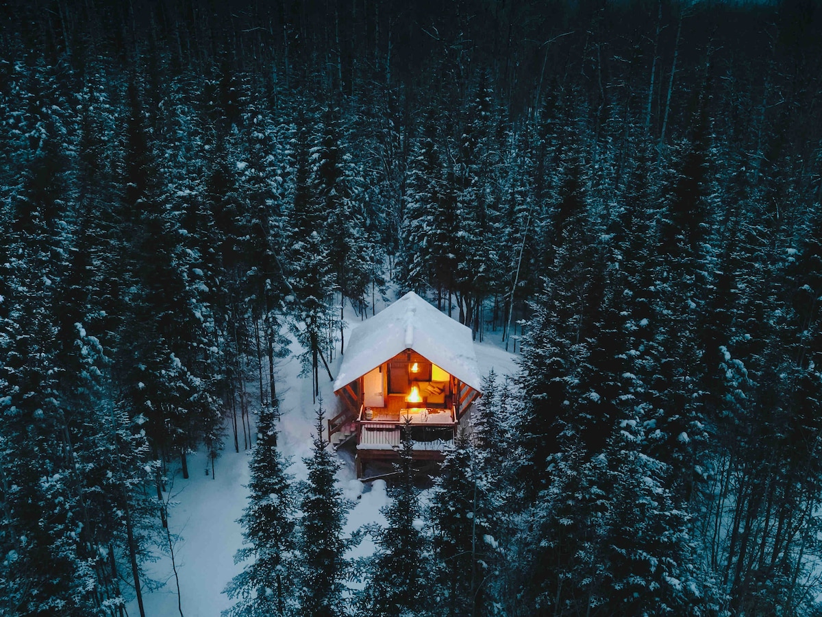 A charming glamping unit is nestled among snow-covered trees, illuminated by warm light from its windows. The surrounding forest features a blanket of fresh snow, contrasting with the deep green of the evergreen trees, creating a serene winter setting.