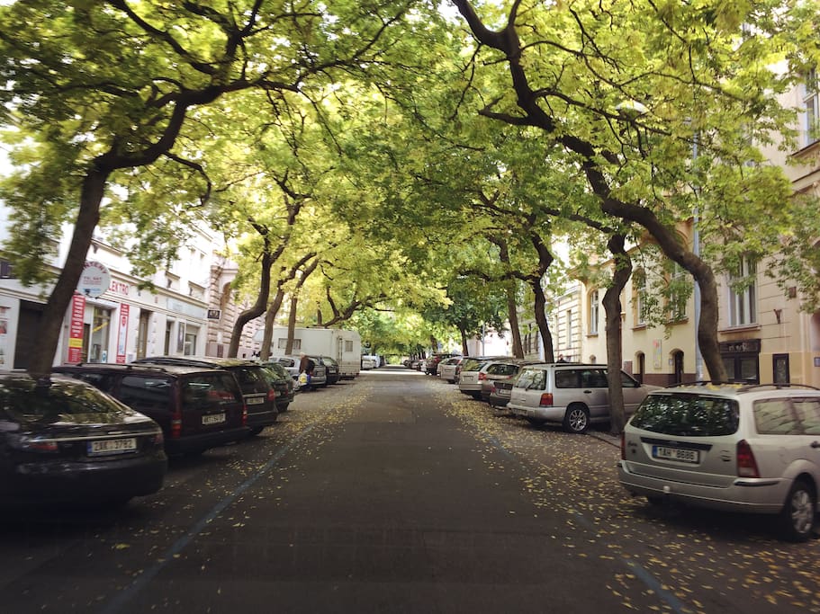 Luzicka Street