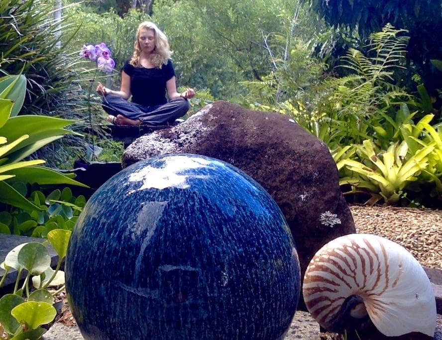 meditate in the rainforest gardens