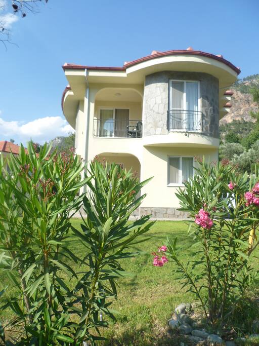 Villa Mimosa 8 is set behind an olive grove. It is surrounded by oleanders, green orange bushes and has its own little fig tree at the bottom of the stairs.