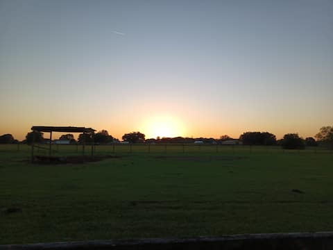Sunset Pastures