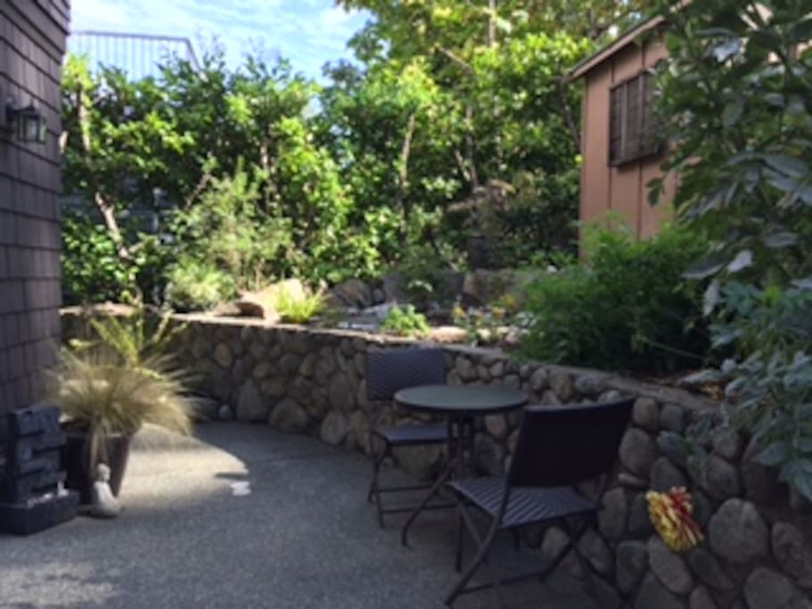 Patio Area