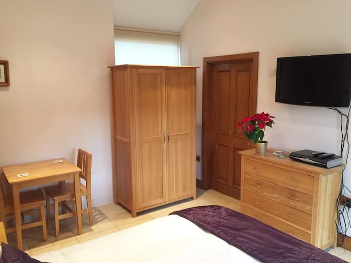 Studio room with TV, Wi-fi, wardrobe, drawers and dining table