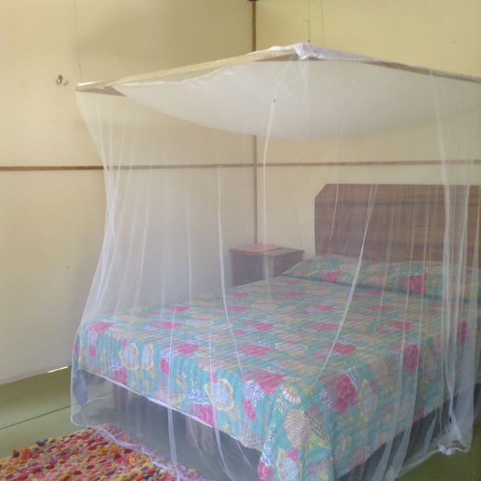Toucan Room