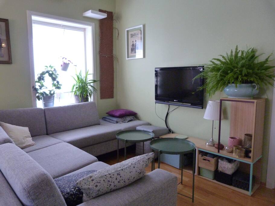 Large, comfortable designer sofa