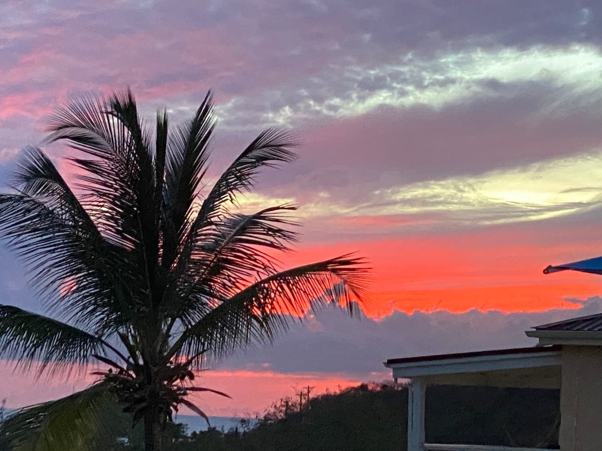 A vibrant sunset is captured, showcasing shades of pink, orange, and purple in the sky. Silhouetted against the colorful backdrop, a palm tree adds a tropical feel. The view indicates proximity to the ocean, enhancing the serene ambience.