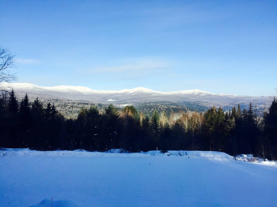 Winter view