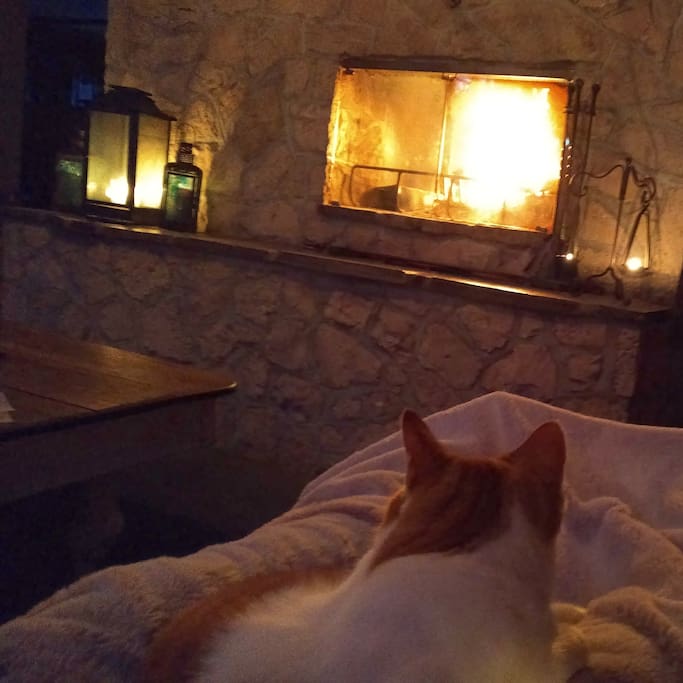 The Fire, and the Kitty