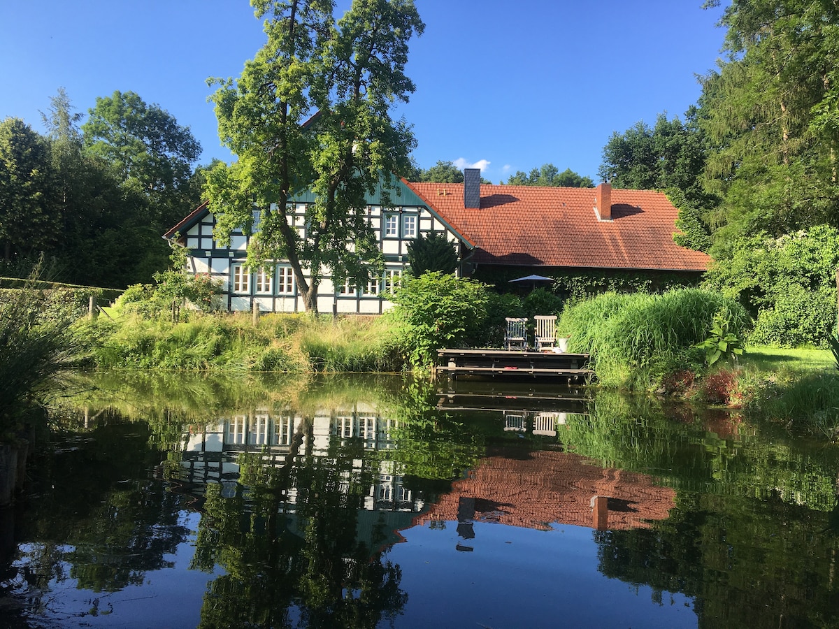 A traditional-style building is reflected in the calm water of a pond, surrounded by lush greenery. Sunlight illuminates the vibrant blue and green hues of the structure, while a wooden deck is visible, framed by well-kept grass and foliage in the serene setting.