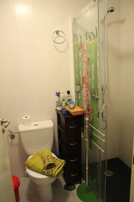 Cuarto de baño propio con ducha de pizarra y mampara de cristal.