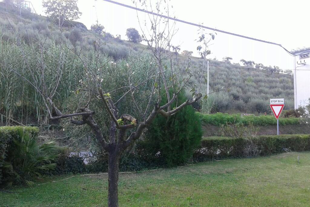 Immerso tra le verdi colline Pescaresi.