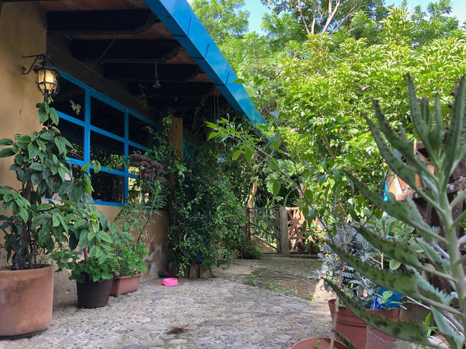 La entrada