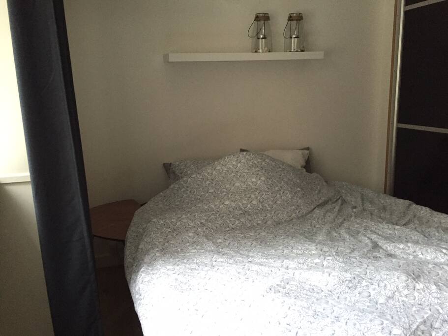 Bedroom with spacey closet and double bed