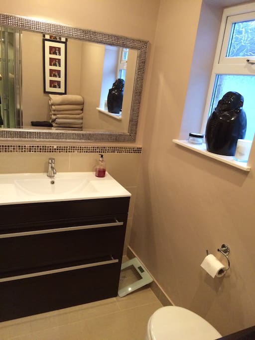 shower/cloakroom downstairs