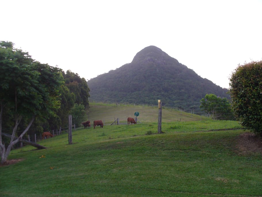 Mt Cooroy