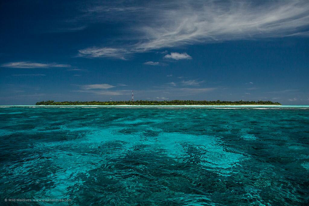 The island