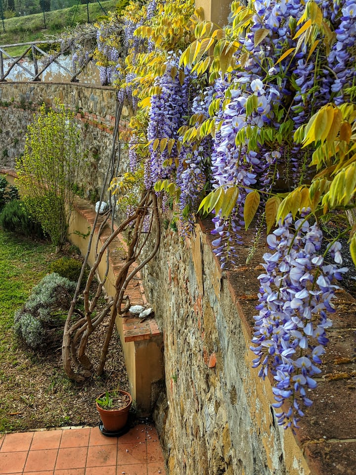 Home in Chianti, Tuscany with Pool and Gardens